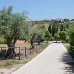 Casa Margarida, Quinta Carmo - - Nazare * 阿尔科巴萨