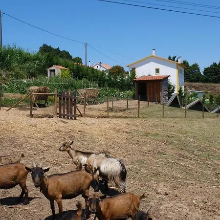 Casa Margarida, Quinta Carmo - - Nazaré *
